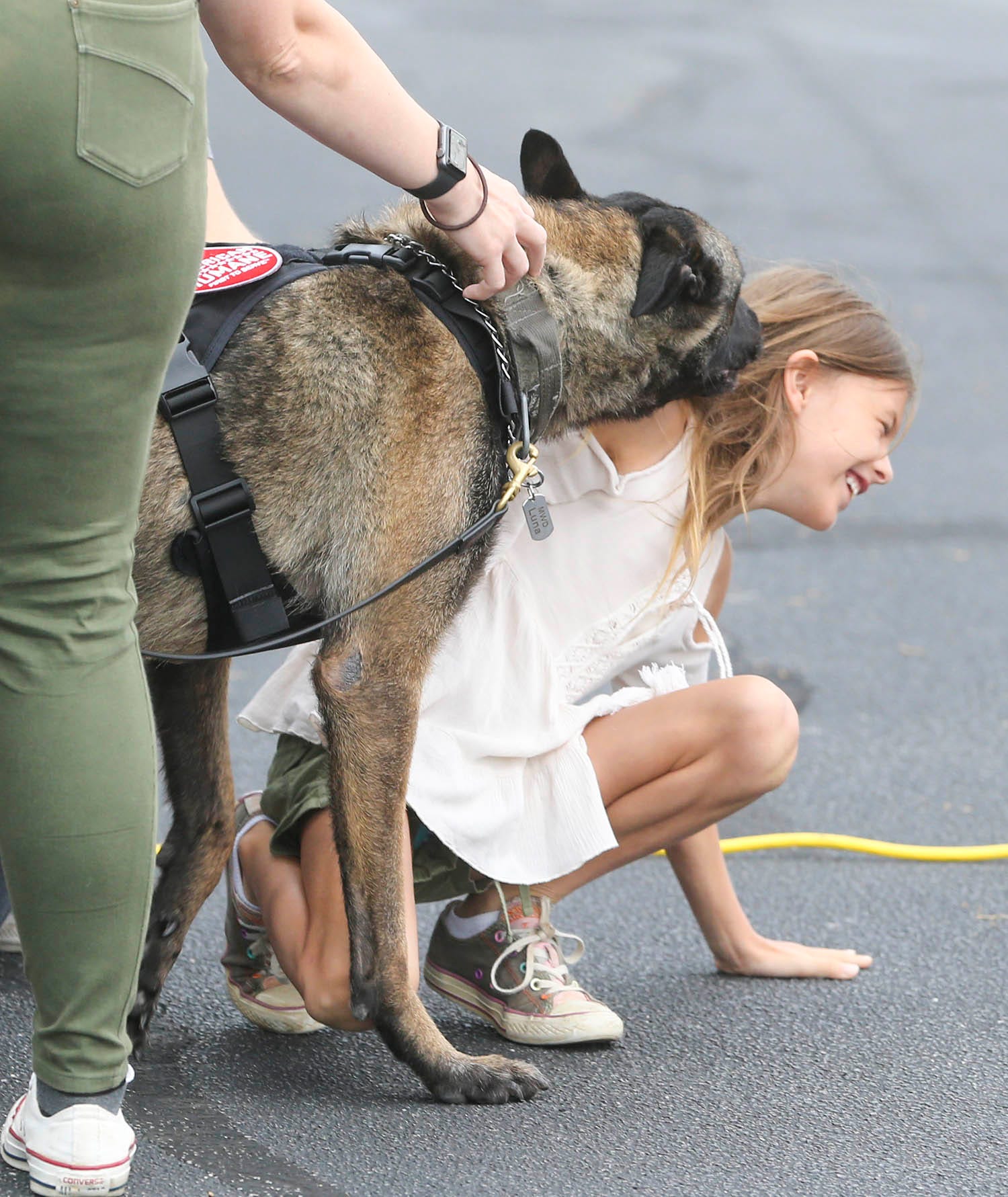 Retired military dog Luna enthusiastically bowls over Shaylee Allio in a reunion with Staff Sgt. Porschia Allio-Easom, a dog handler at Eglin Air Force Base during a ceremony at the Eglin Federal Credit Union on Eglin Parkway in Fort Walton Beach.